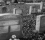 Memorium Part Two - Photo Enhancement